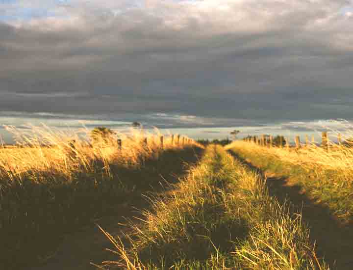 找个便宜方法的网站攻击器